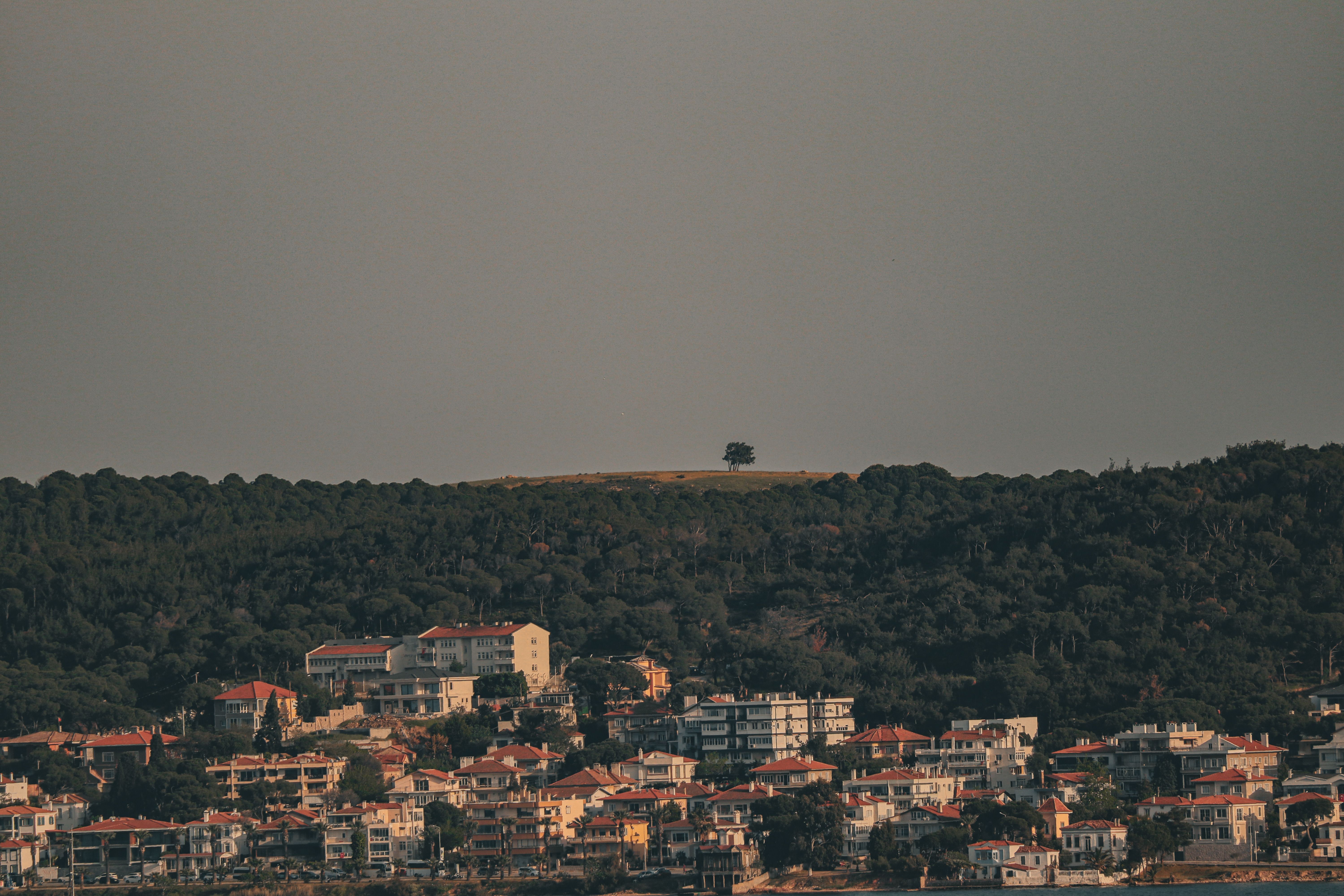 Λεπτοκαρυά · φωτογραφία περιοχής 1