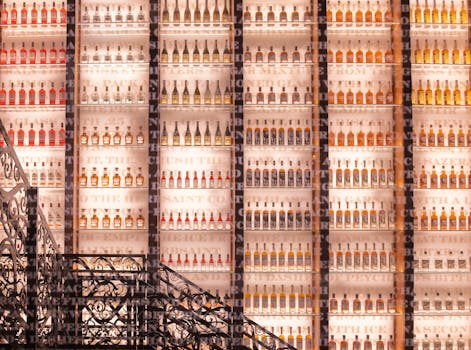 New Orleans, United States photo 12