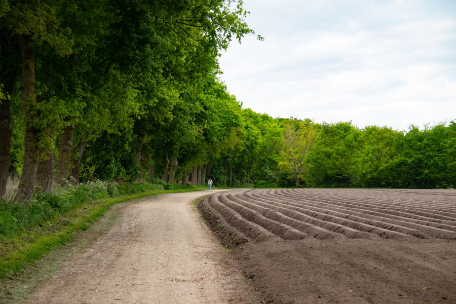 A tranquil dirt road beside a plowed field and lush green forest, perfect for a serene walk in spring.