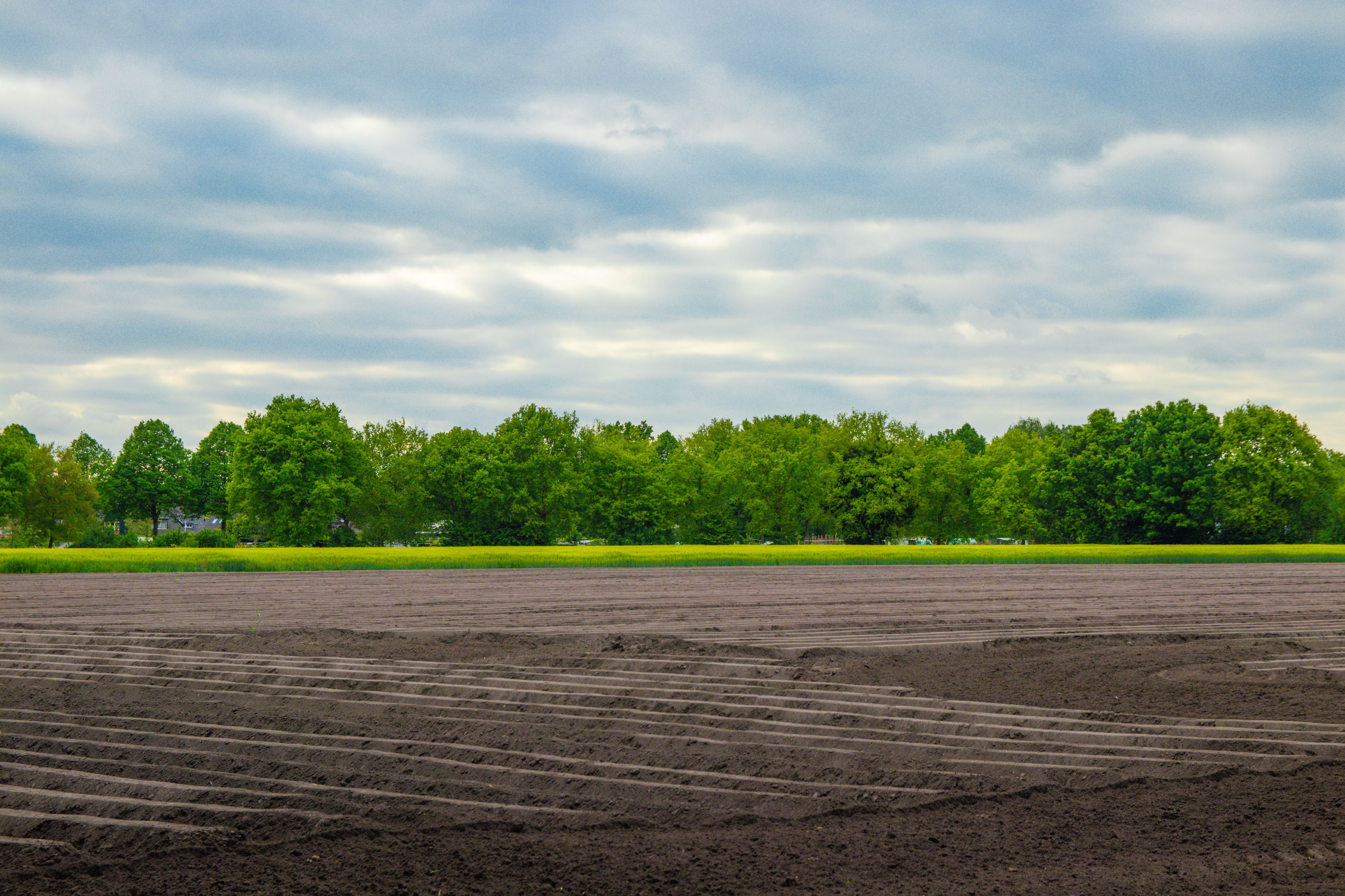 Expansive Plowed Field with Green Trees and Clouds · Free Stock Photo