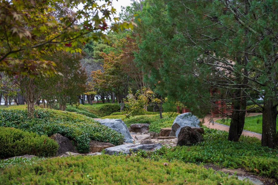 Tranquil Japanese garden showcasing lush greenery and large stones among vibrant trees.