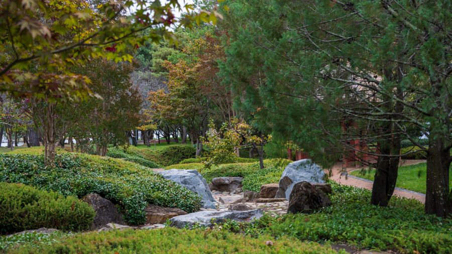 Three Things to Settle Before You Landscape Your Yard