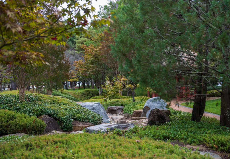 Tranquil Japanese garden with lush greenery and stone elements
