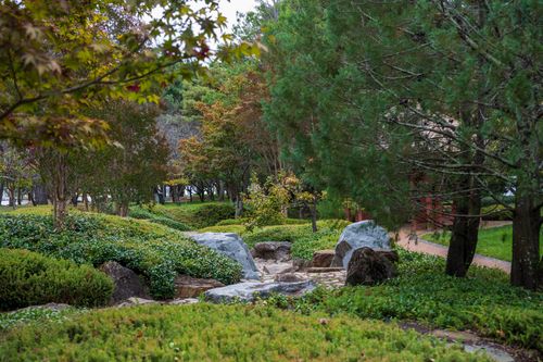 Free Tranquil Japanese garden showcasing lush greenery and large stones among vibrant trees. Stock Photo