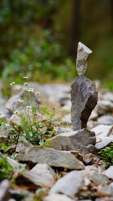 Fotomural Una pila serena de rocas en equilibrio junto a flores silvestres en un exuberante entorno al aire libre.