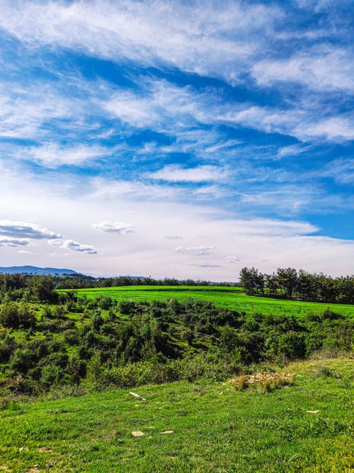 Free Expansive green fields under a vibrant blue sky in Postkabasakal, Adana, Türkiye. Stock Photo