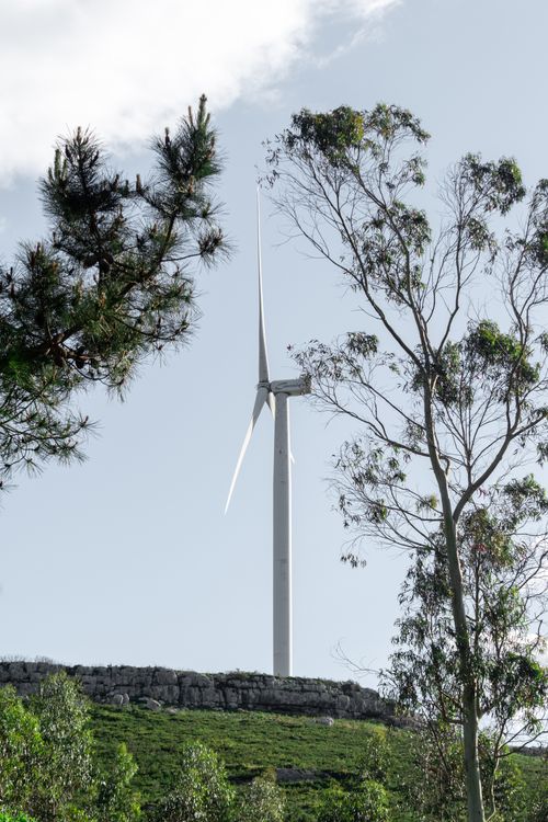 Free Wind turbine amidst trees in a lush green landscape. Stock Photo