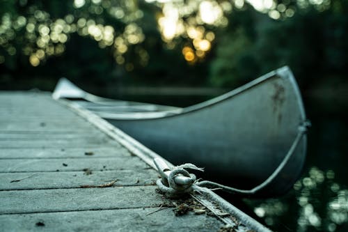 Free stock photo of boat, canoe, canoeing