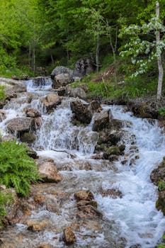 Image by pooria nasseri