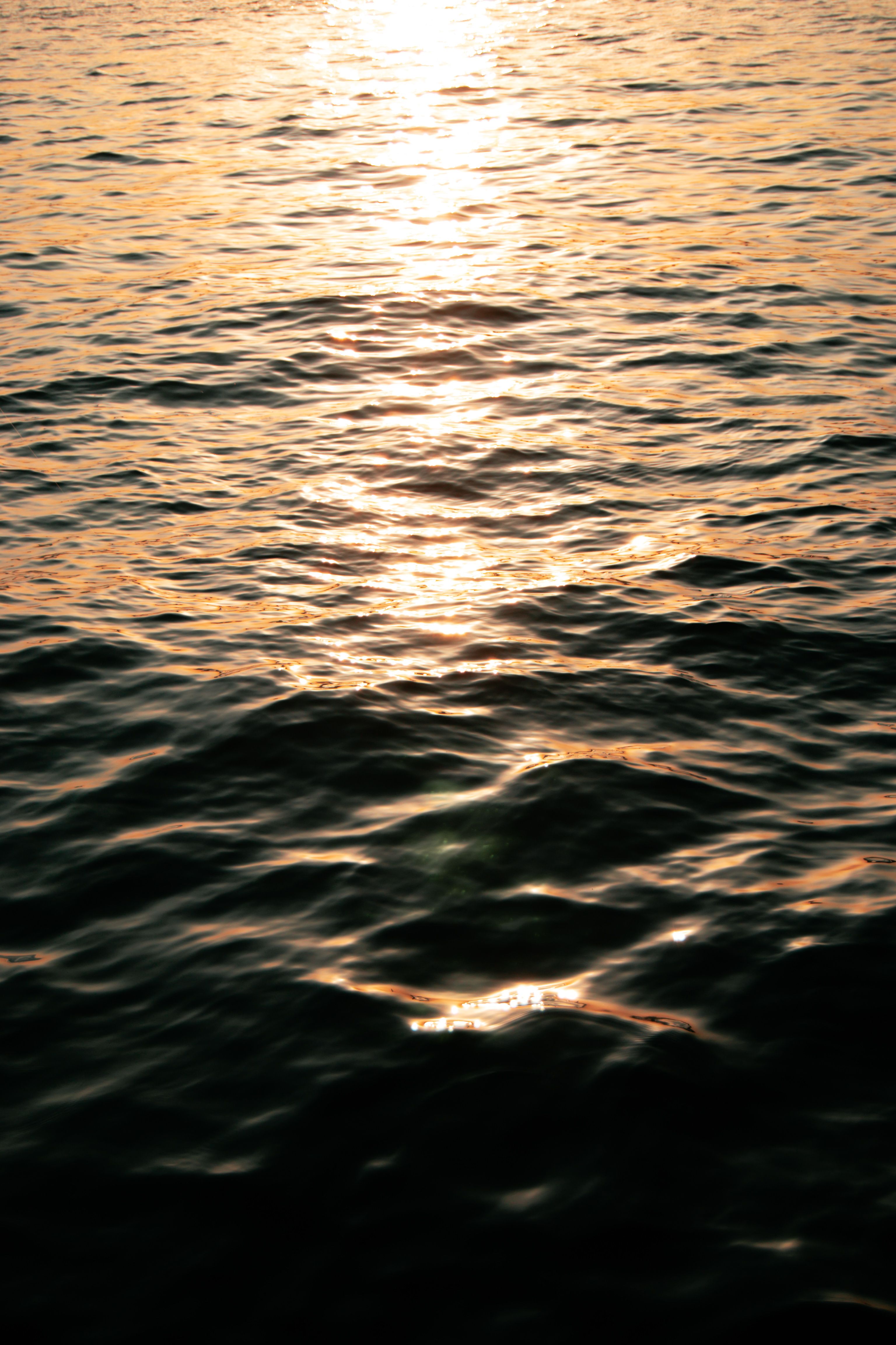 Golden Sunset Reflection on Calm Ocean Waves · Free Stock Photo