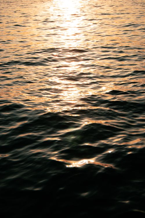 Free Serene golden sunset reflecting on gentle ocean waves, offering a tranquil and peaceful scene. Stock Photo