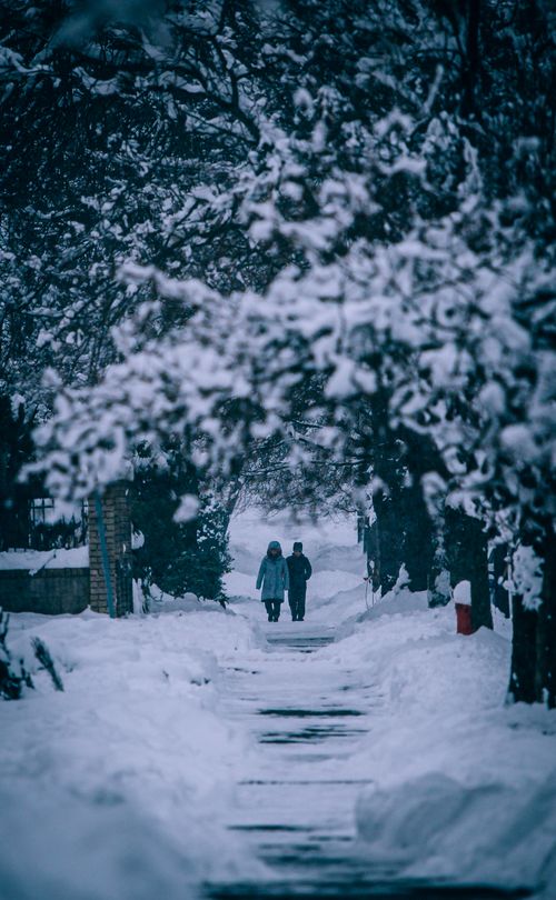 Free Two adults walking through a snow-covered street in Vancouver, BC, framed by snow-laden trees. Stock Photo