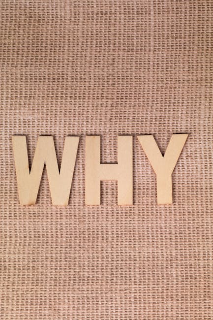 Mengapa Personalisasi Tema Termux Itu Penting? Mengapa Personalisasi Tema Termux Itu Penting?