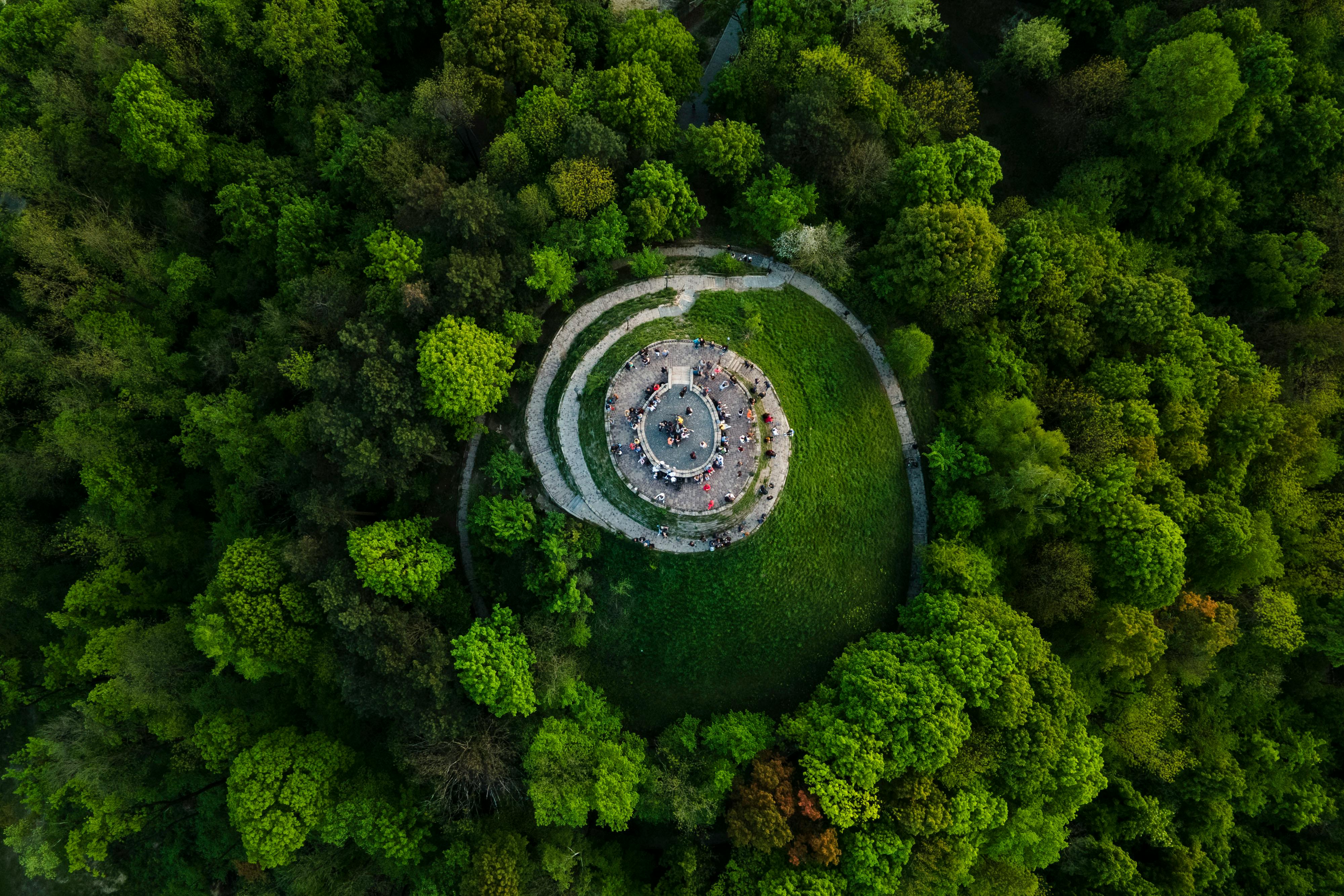 A breathtaking aerial shot showcasing a vibrant green forest encircling a unique circular structure.