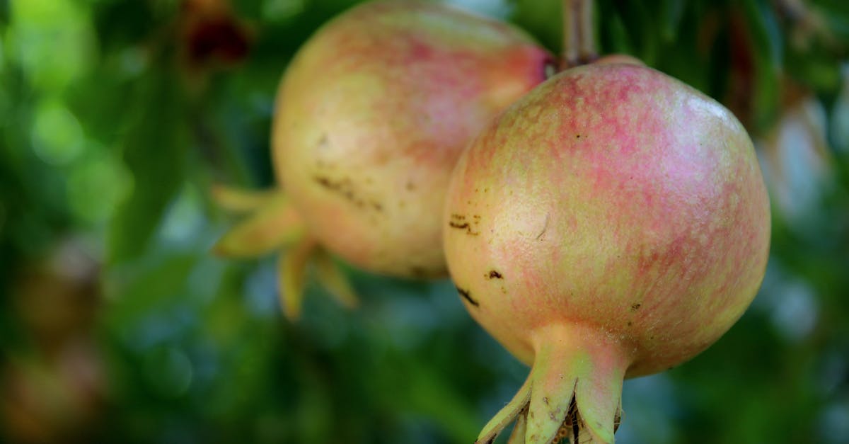 誠品生活南西集結33家名店!夢幻甜點店5/16盛大開幕