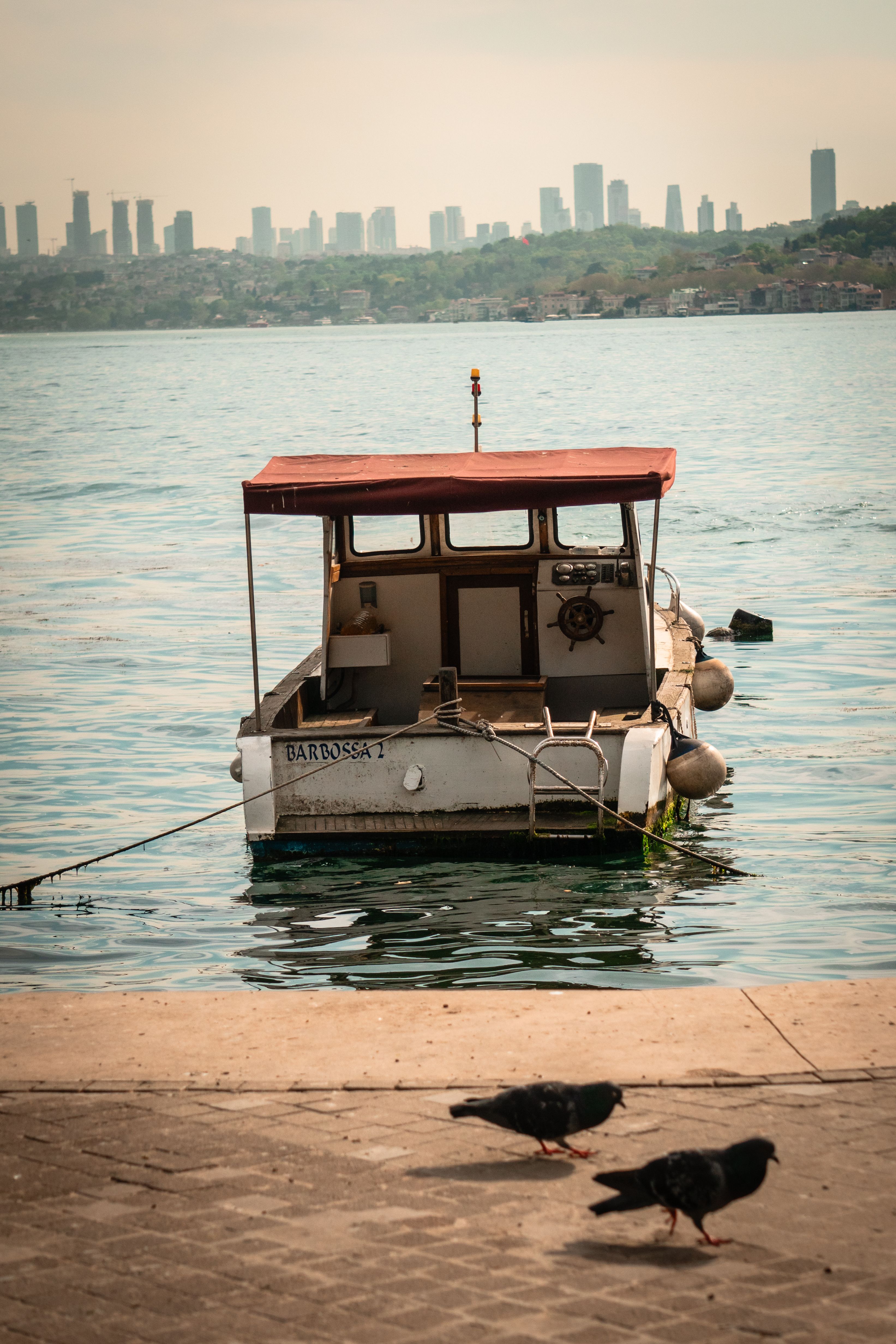 Orca Boat Photos, Download The BEST Free Orca Boat Stock Photos & HD Images