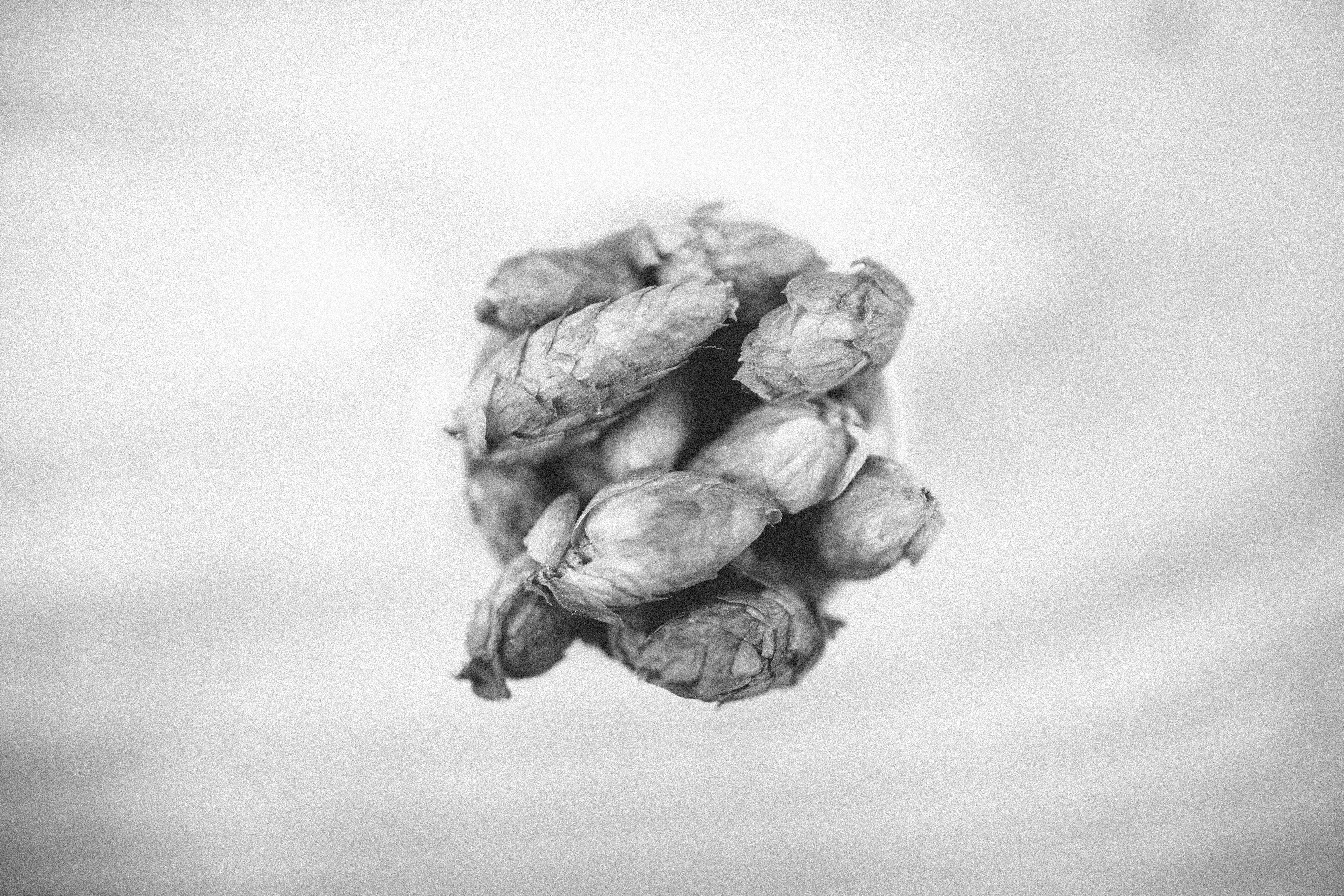 292.199+ Fotos y Imágenes de Mujeres+haciendo+el+amor+en+español