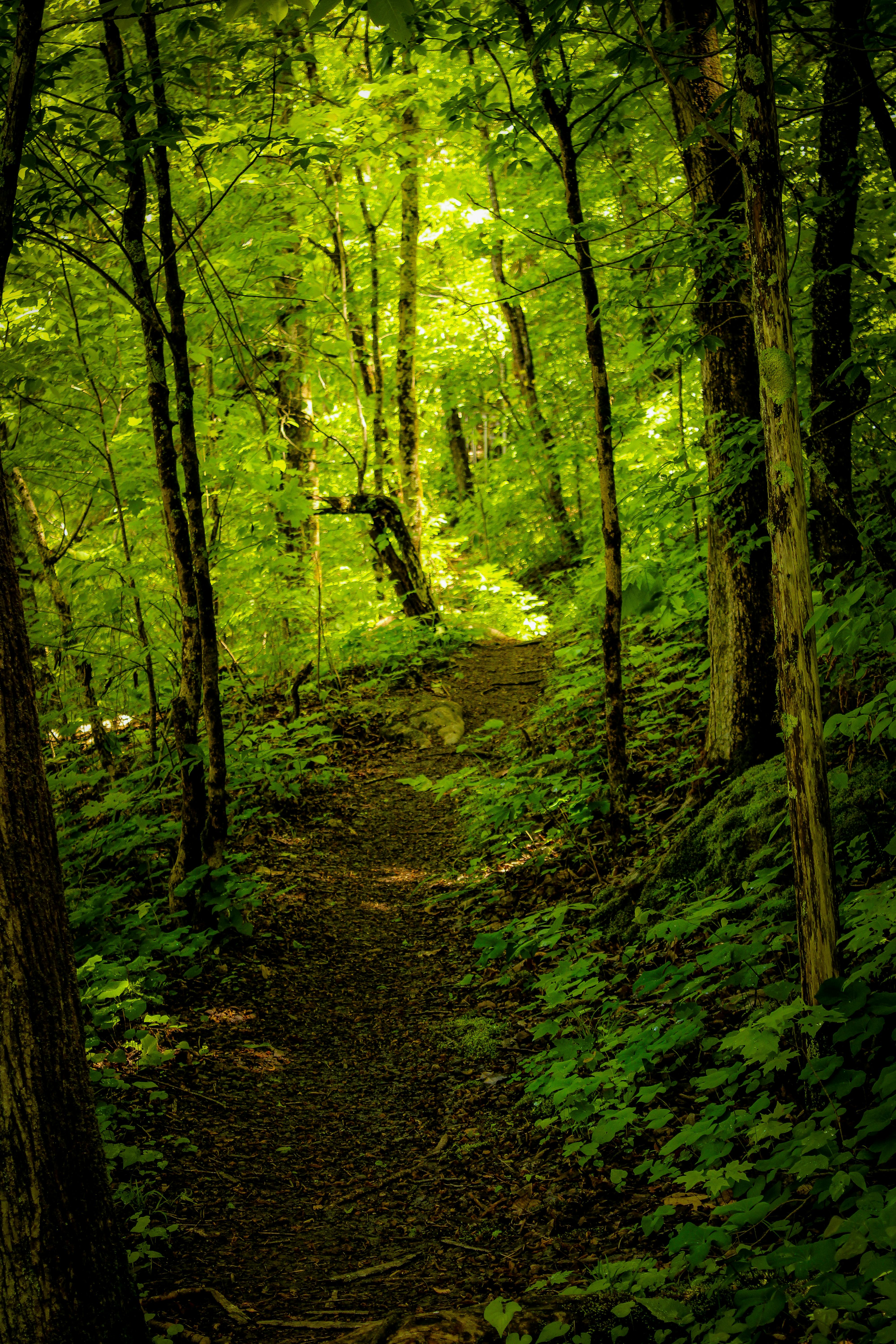 trail