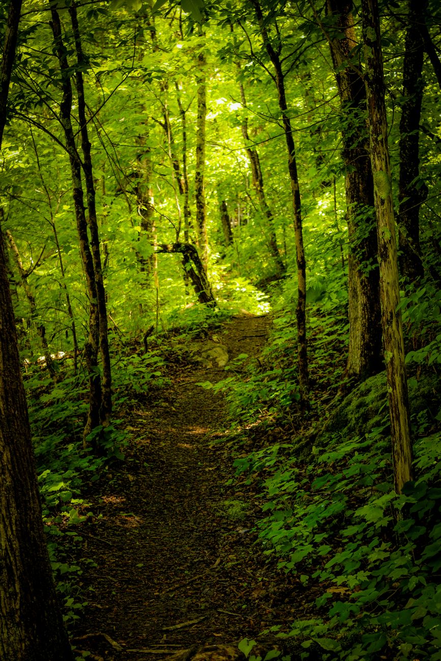 trail