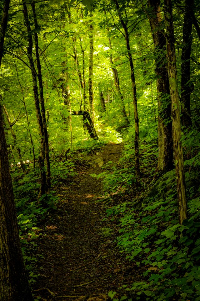 trail