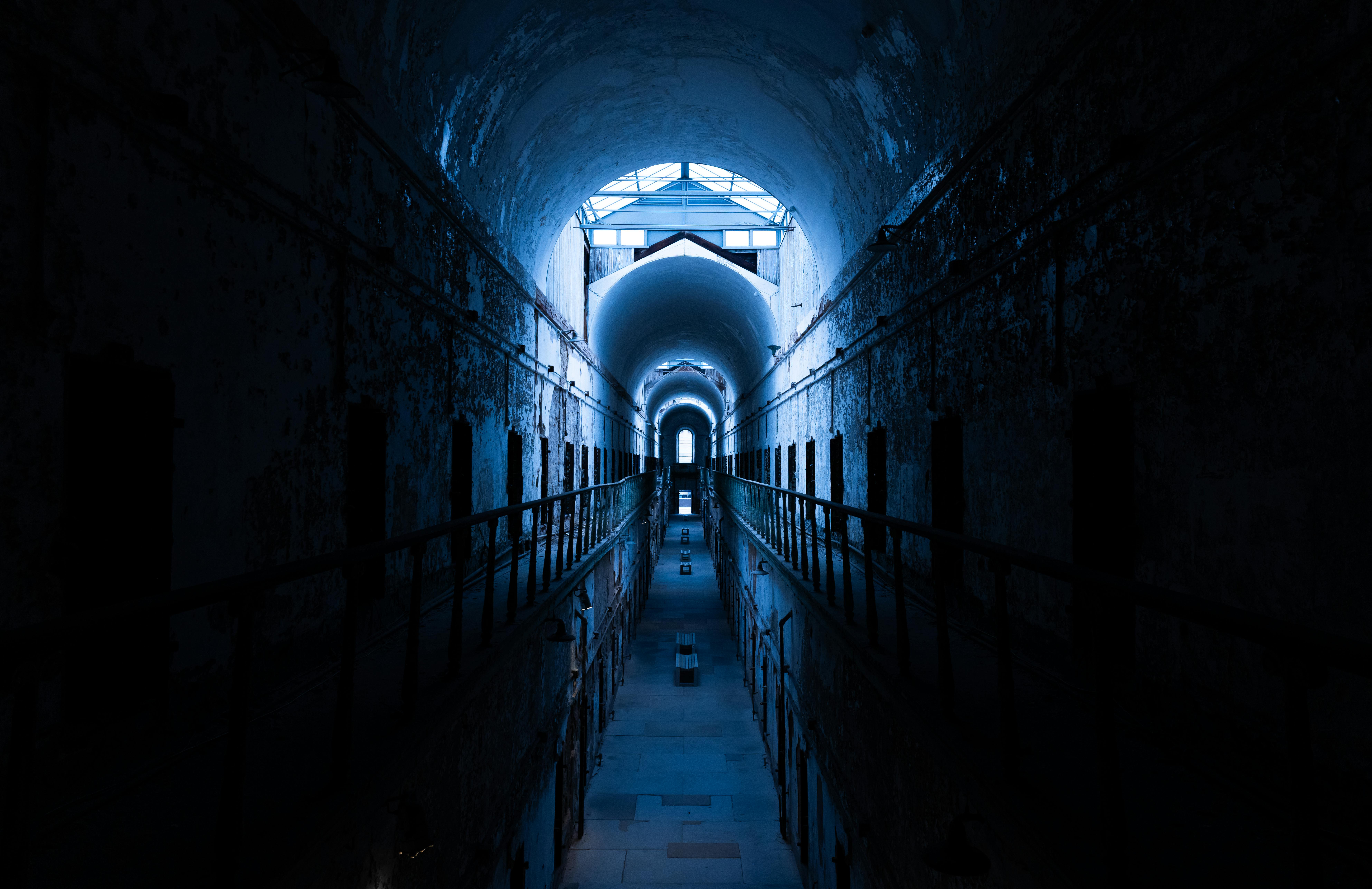 Unveiling the Mysterious Scents That Take You on a Sensory Journey