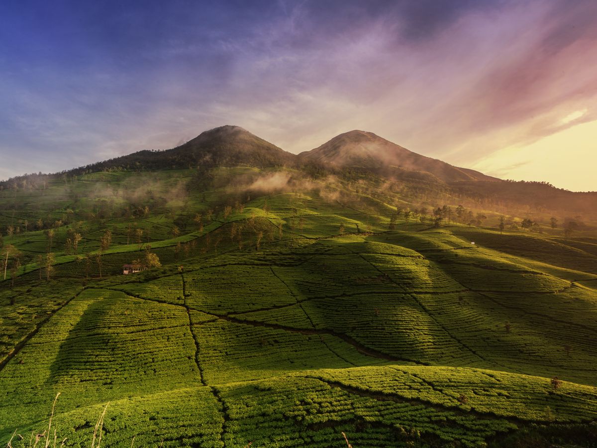 3 Day Active Renewal Escape Retreat in Bali, Indonesia 1