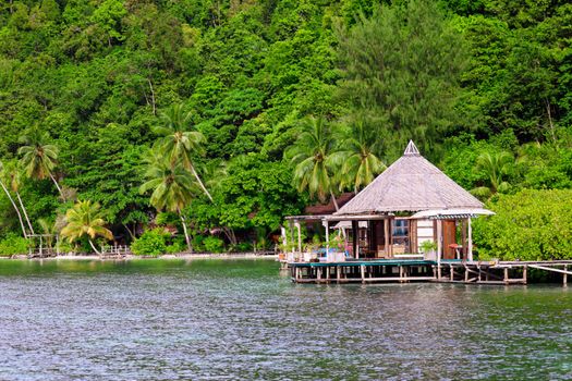 Tufi fjord and reef diving — Papua New Guinea