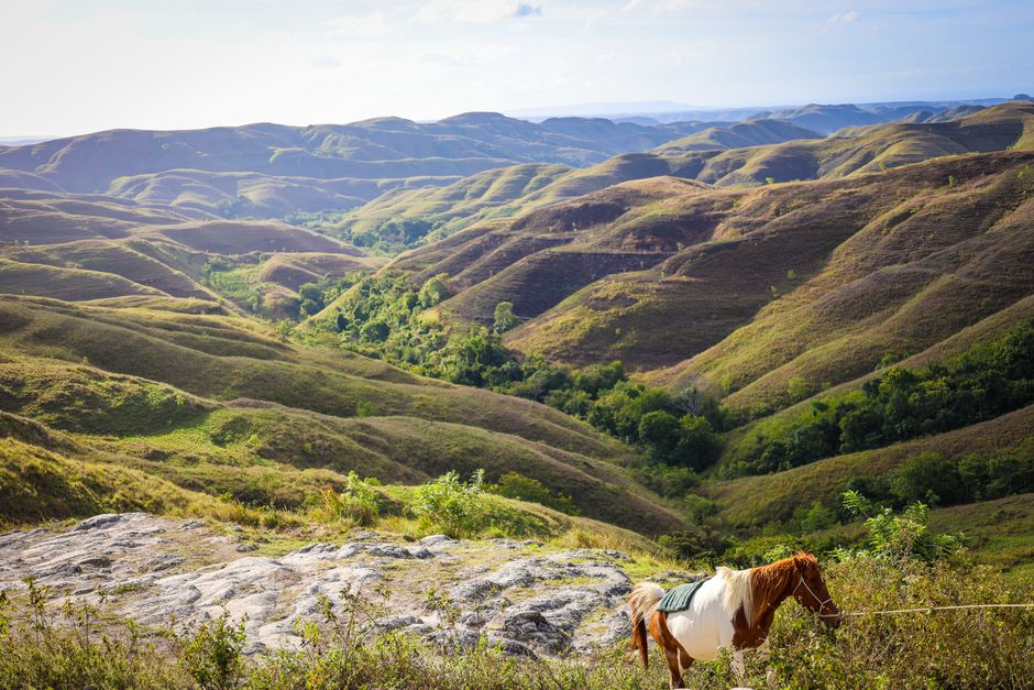 Menaklukkan Gunung Wanggameti: Petualangan di Tengah Savana Sumba yang Megah