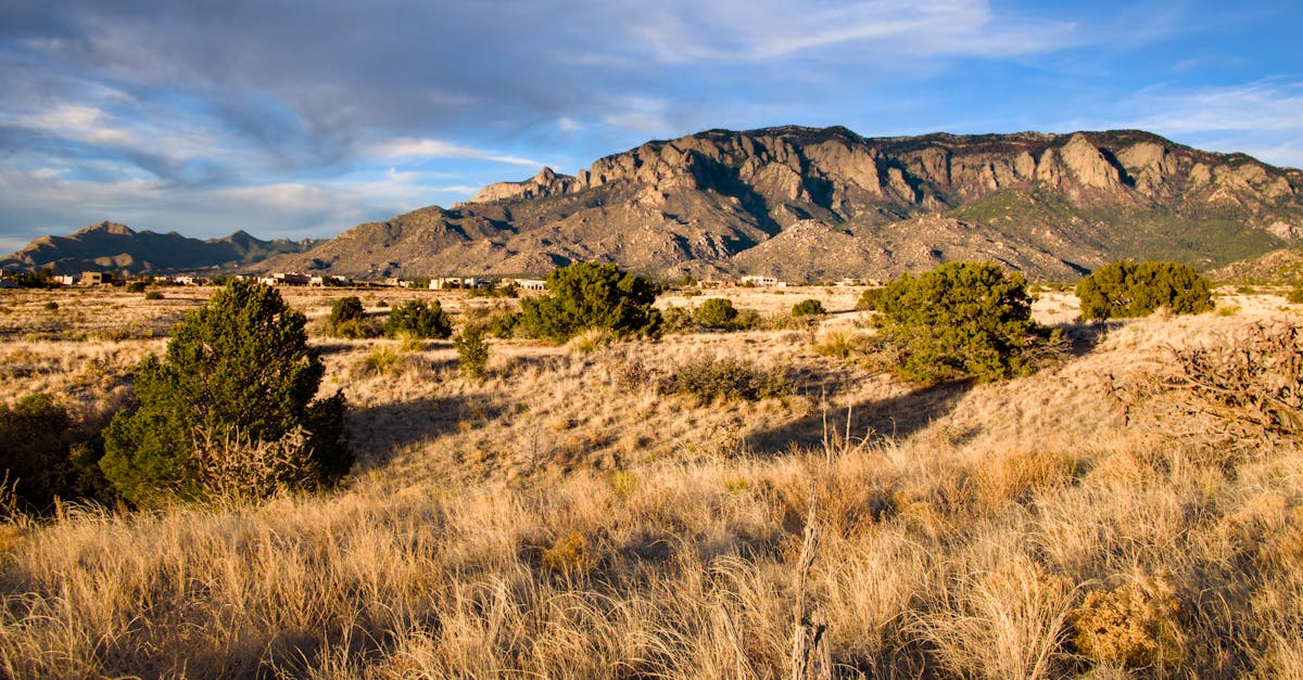 2025漁光島生活節熱鬧開跑,夕陽美景配音樂好Chill!
