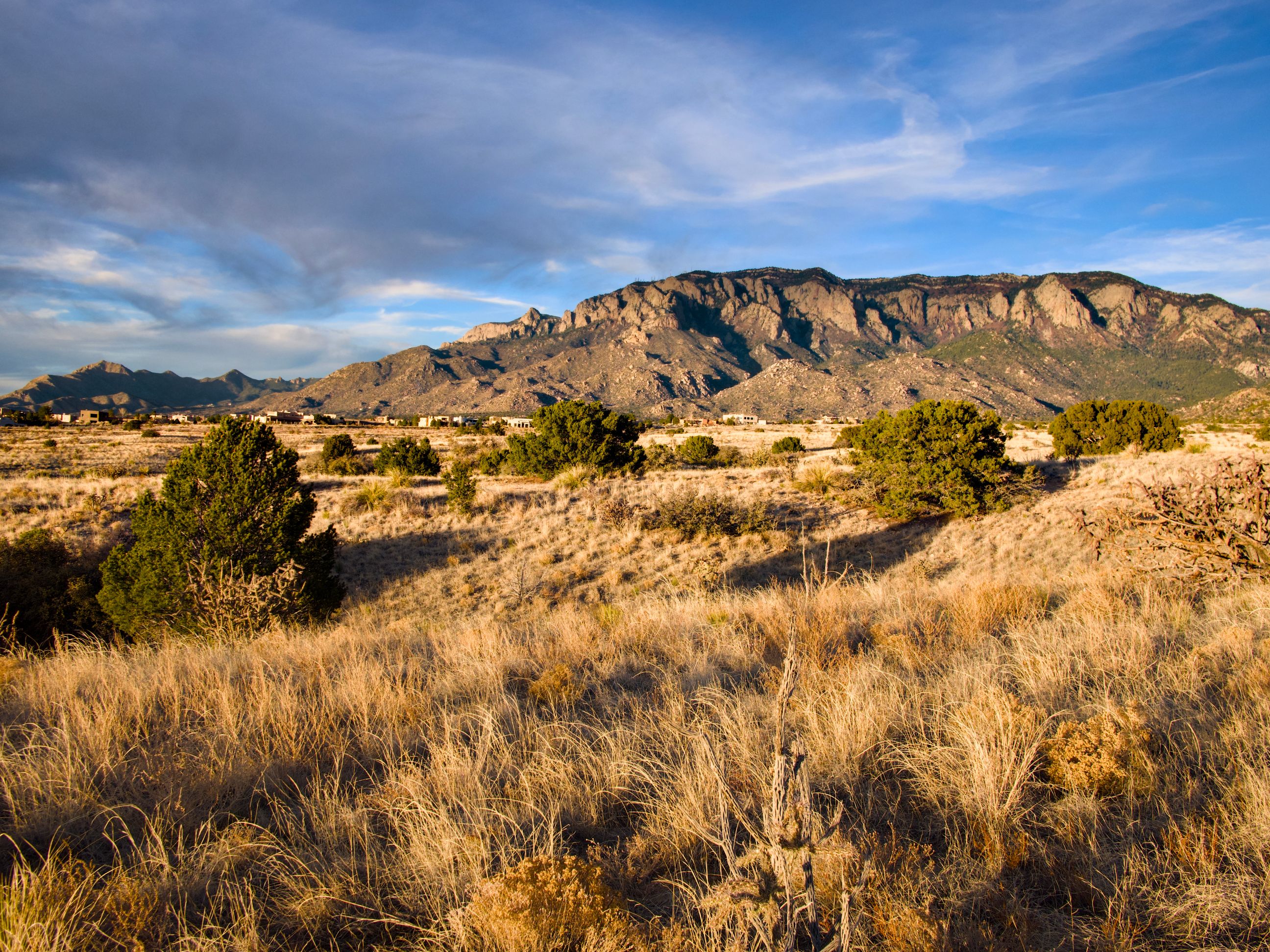 Rio Rancho: Sandia Mountains in Albuquerque with golden desert grass in the foreground