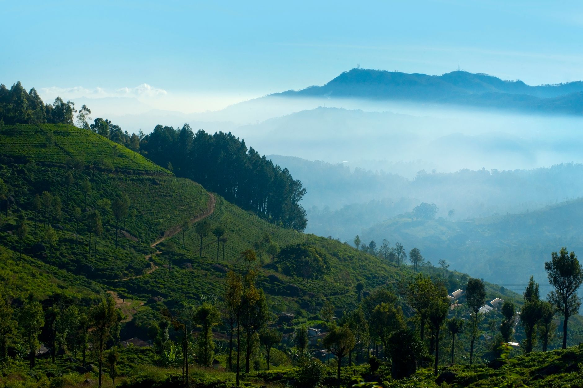3-Star Hotels in Nuwara Eliya: Best Value Stays in the Hill Country