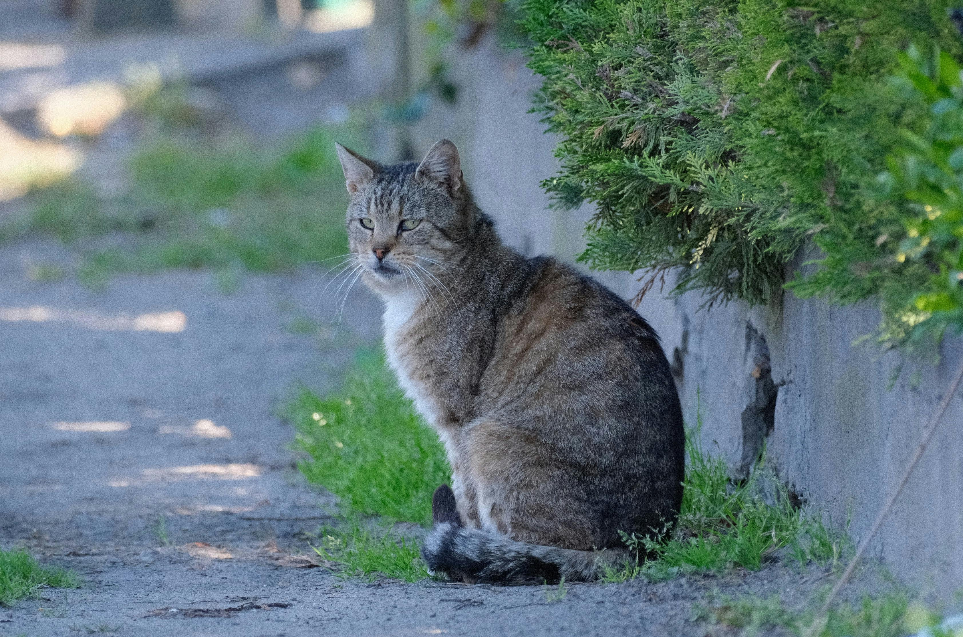 Eesti tarbijad kaotavad huvi roheettevõtete vastu