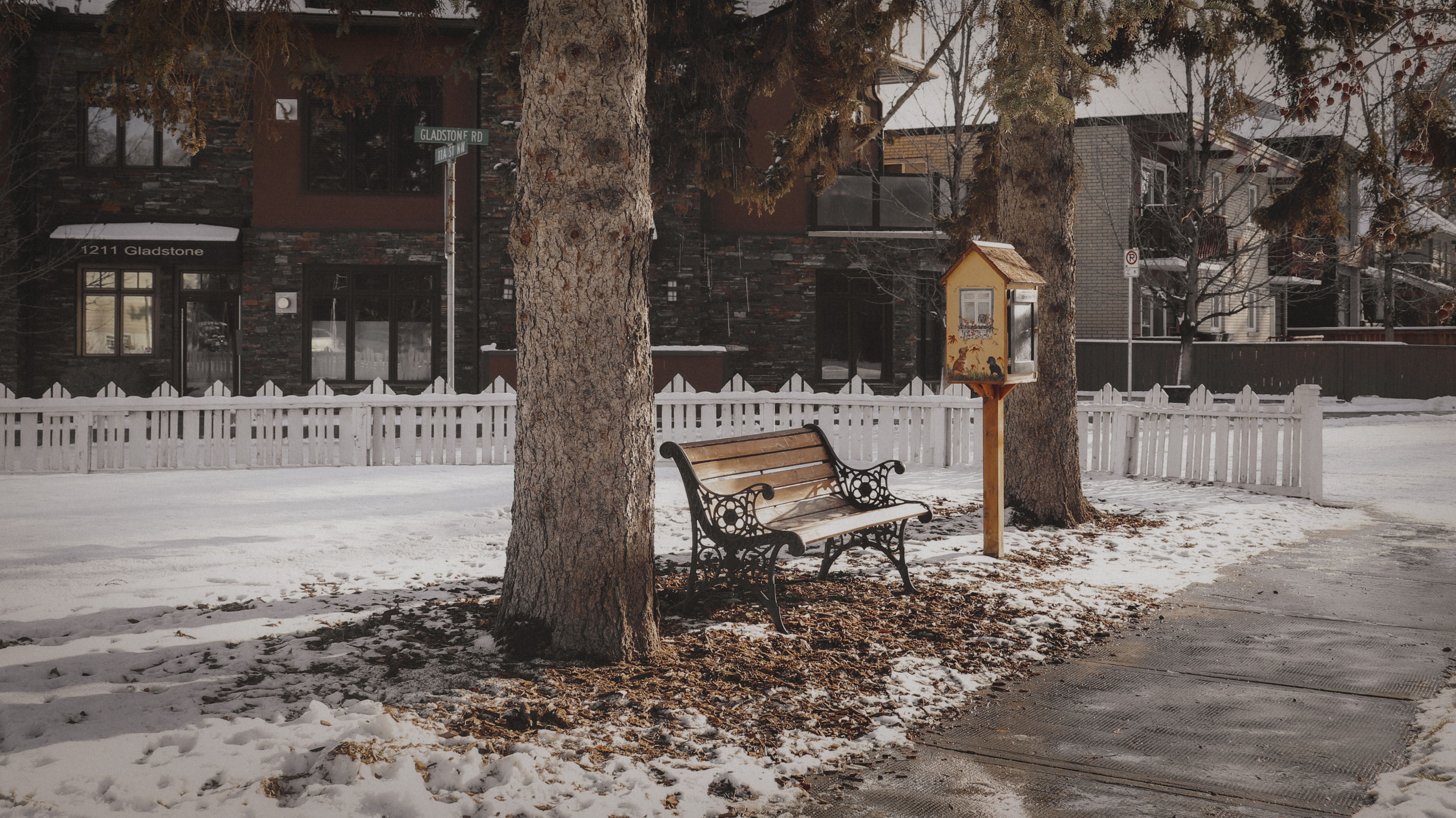 A snowy park scene featuring a wooden bench under trees in winter.