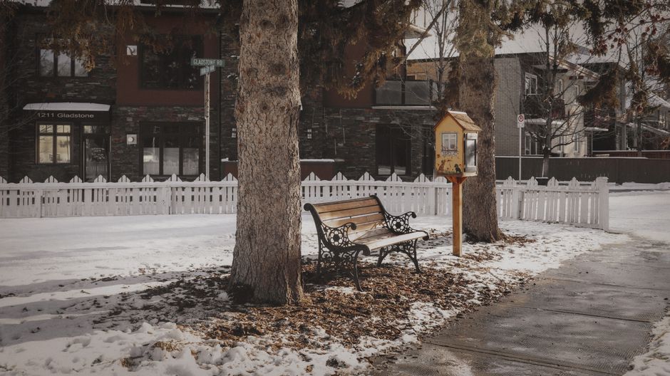 A snowy park scene featuring a wooden bench under trees in winter.