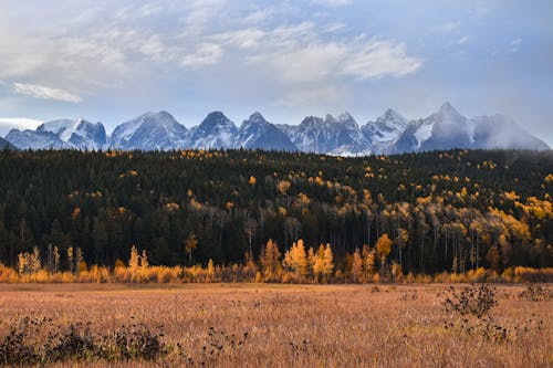 Autumn Landscape