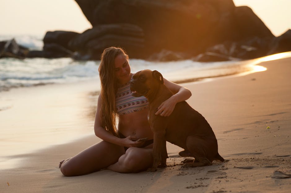 adult, animal, beach