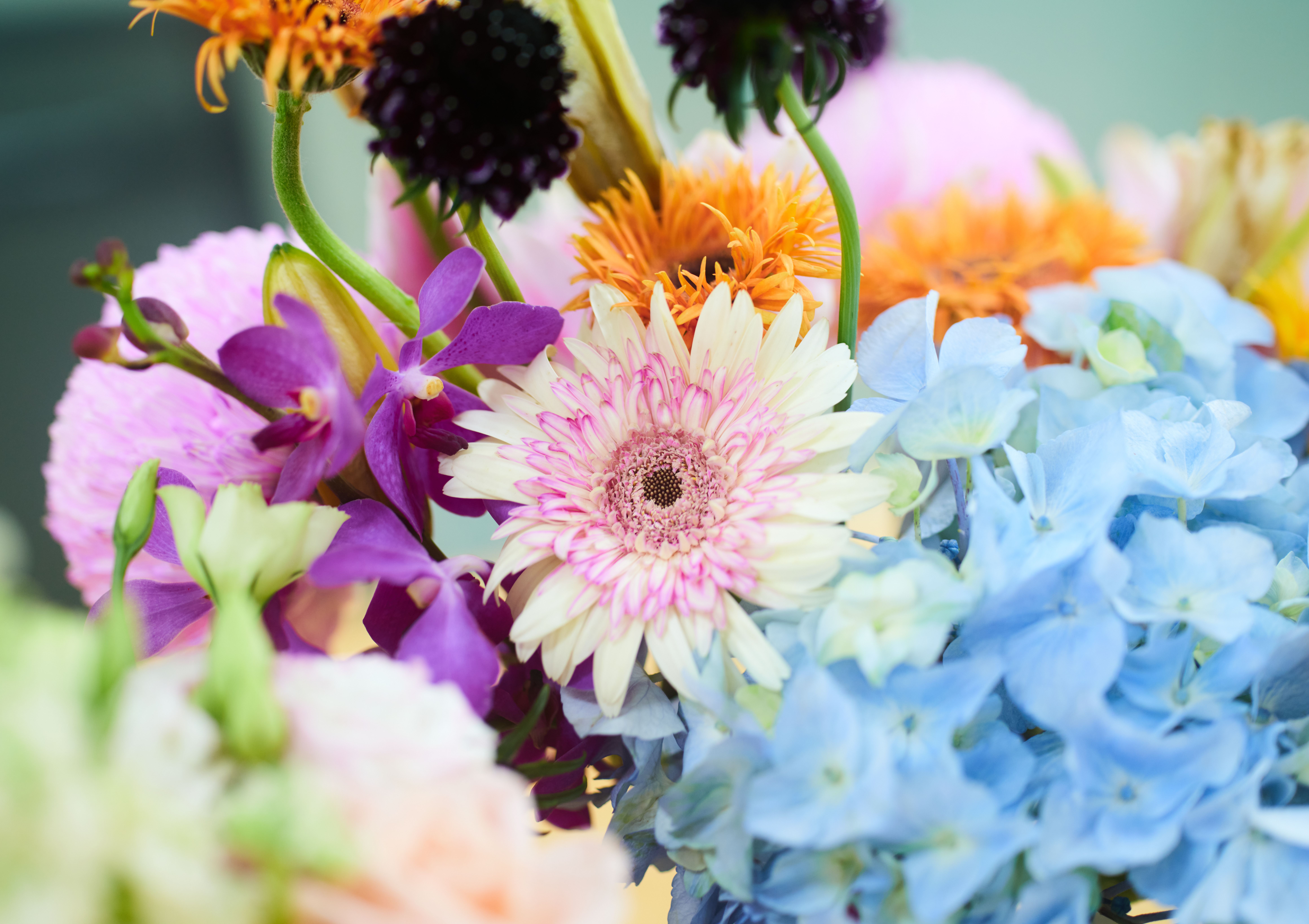 Wildblumen