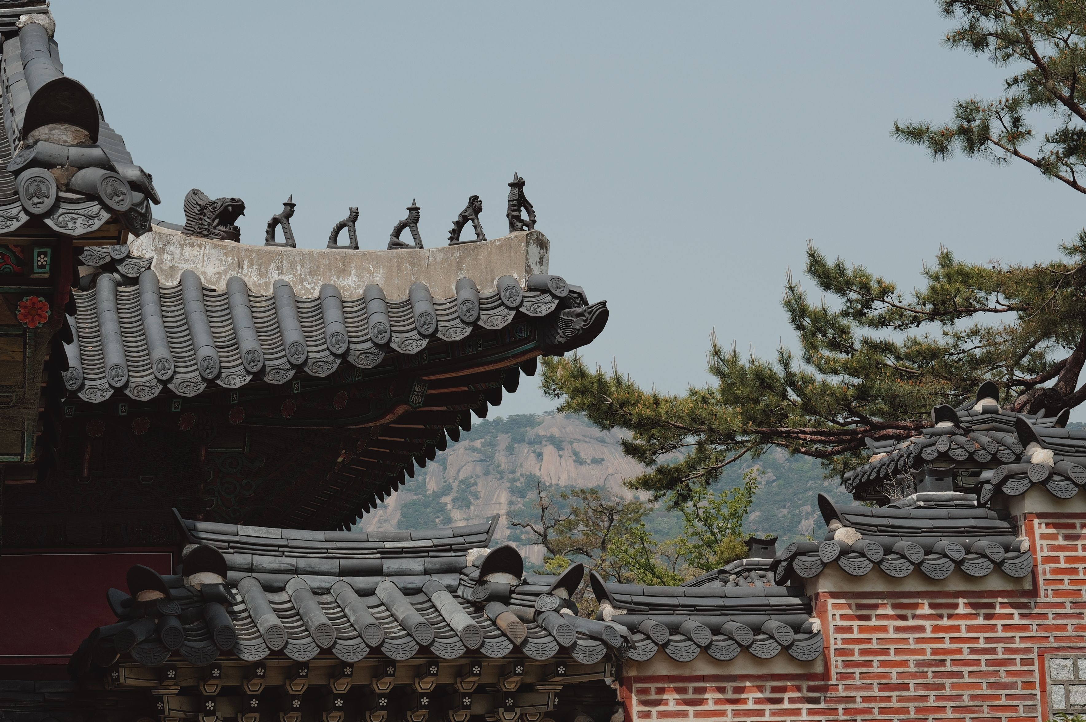 korean balcony landscaping