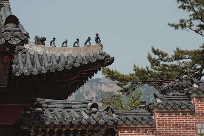 서천호(국민의힘) 의원의 제22대 대표발의 65건, 농림축산식품해양수산위원회 29건 다음은 어떻게 갈렸을까 글 대표 사진