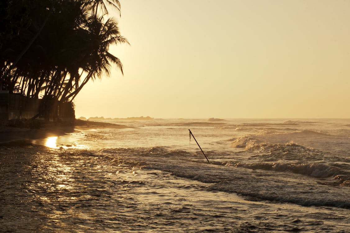 Body of Water during Golden Hour