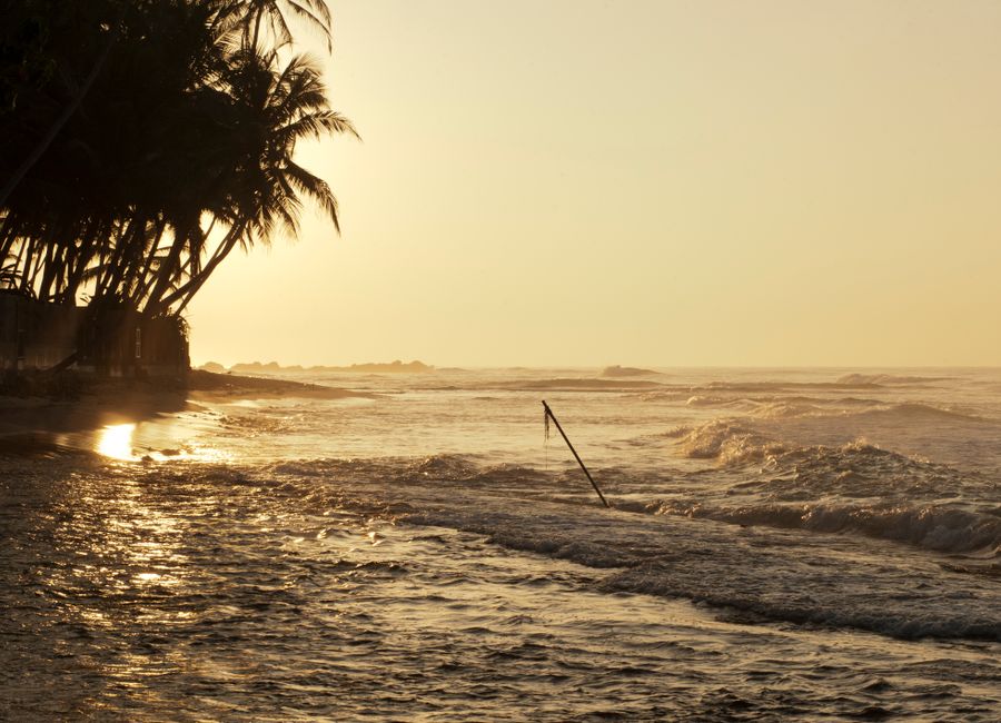 Serene golden sunset over waves at Unawatuna Beach with silhouetted palm trees.