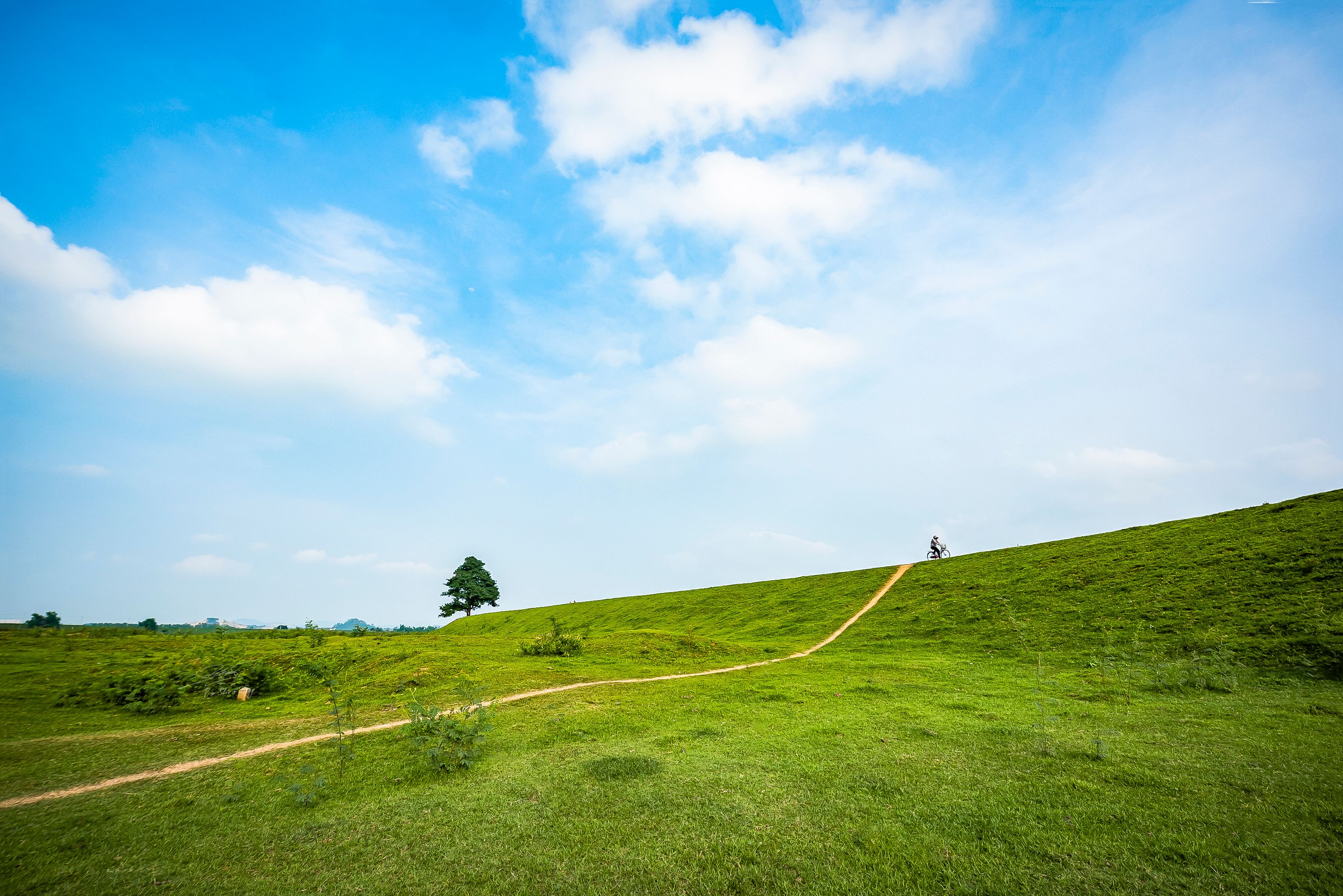 Icey Path Photos, Download The BEST Free Icey Path Stock Photos & HD Images