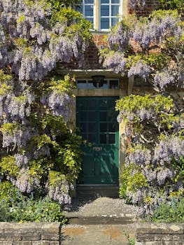 A picturesque entrance adorned with lush wisteria blooms in Seend, England.