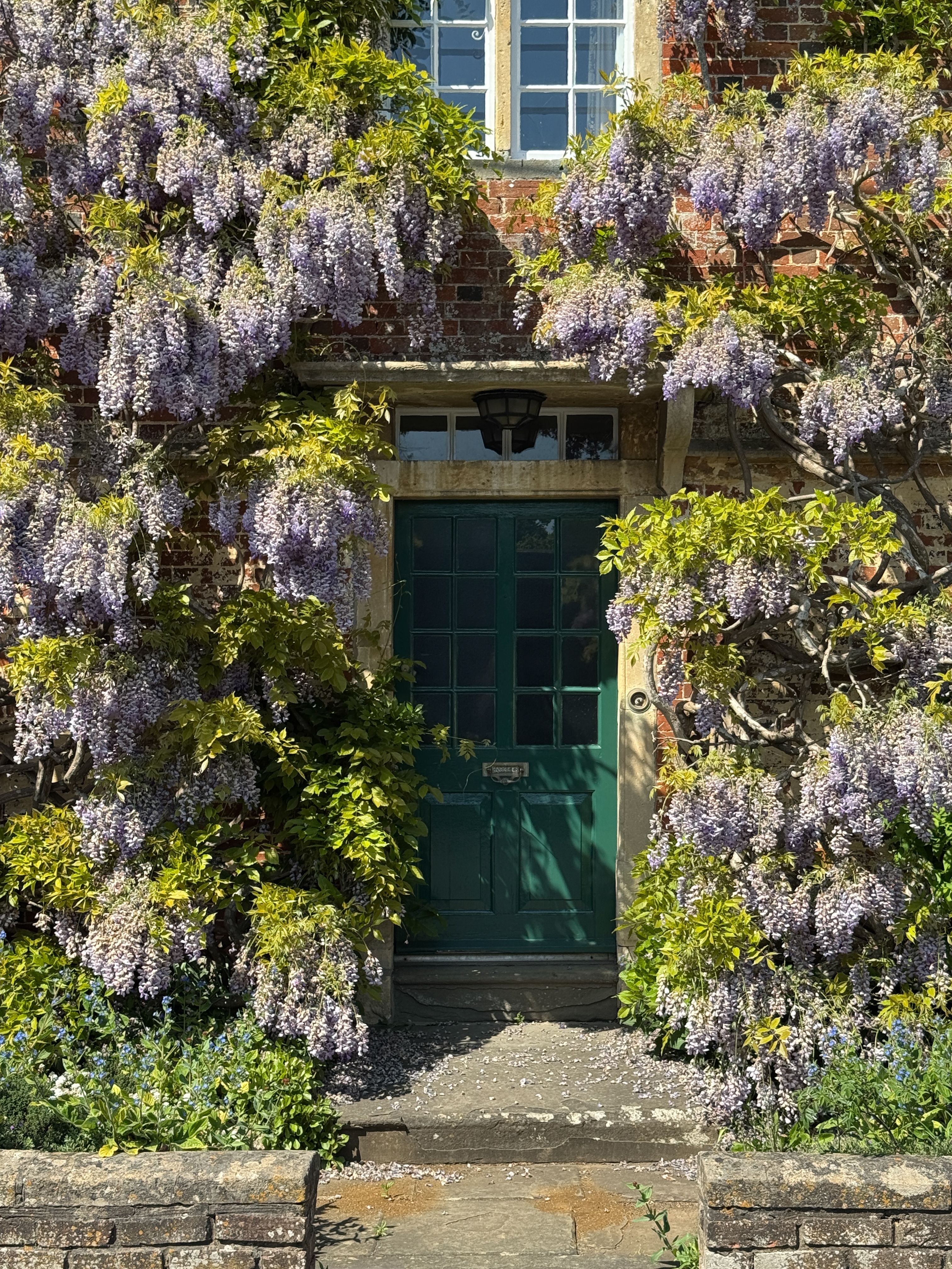 Charming Cottage Entrance with Wisteria Blooms  Free Stock Photo