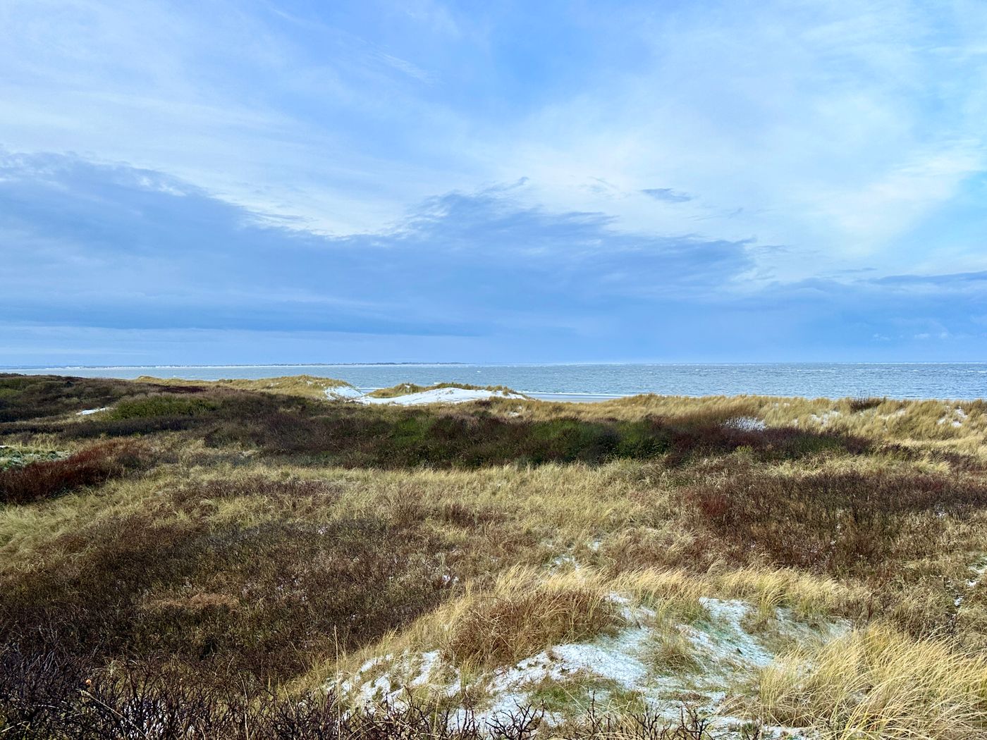 Grassy sand dunes with a path leading toward the sea