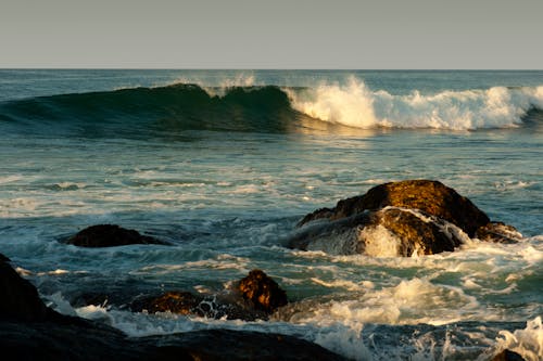 Brown Stone in Body of Water