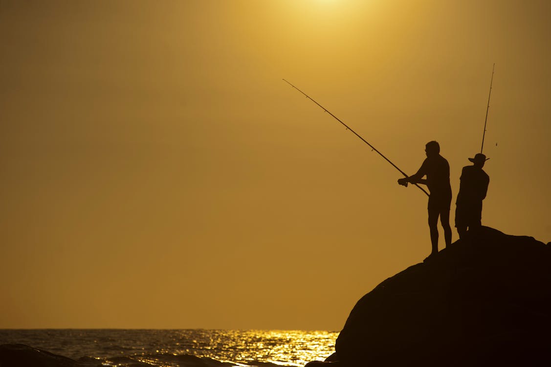 grátis Foto De Silhueta De Dois Homens Segurando Varas De Pesca Contra Corpo D'água Na Colina Foto profissional