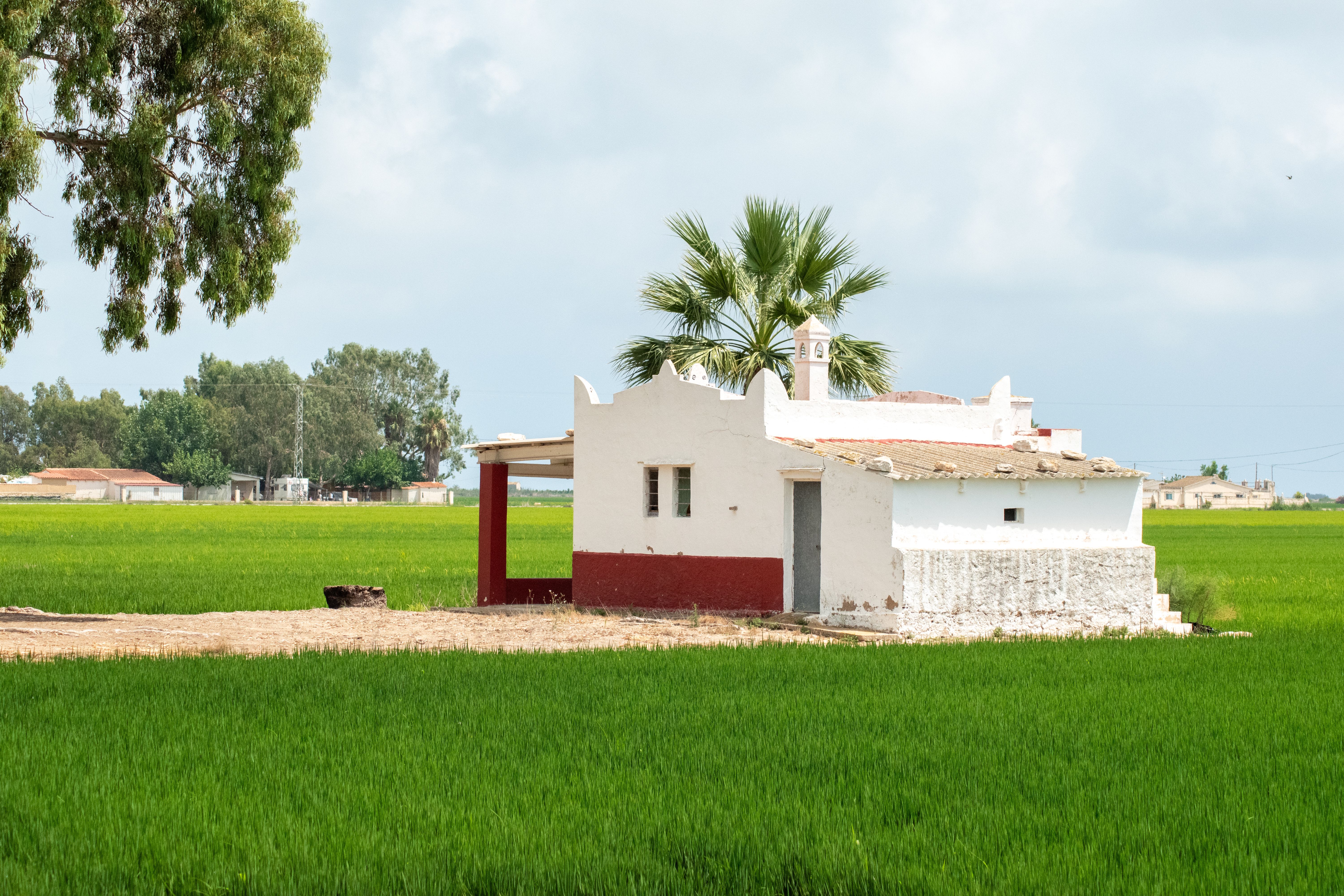 Rural House Amidst Rice Fields in Riumar, Spain · Free Stock Photo