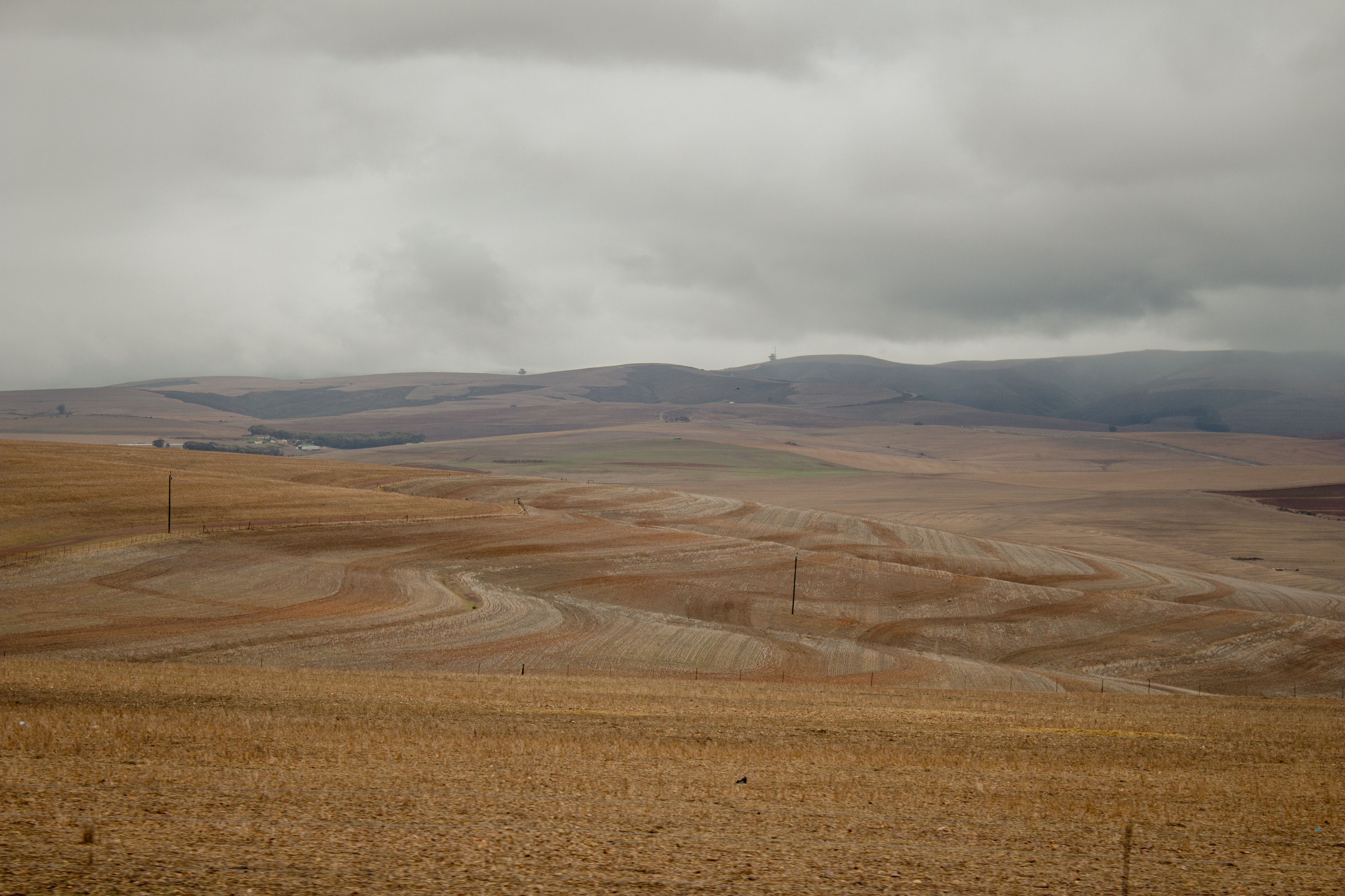 Vast and Serene Rural Landscape under Cloudy Sky · Free Stock Photo