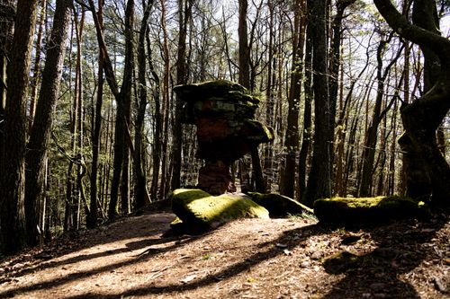 Free Unique rock formation in a sunlit spring forest, Germany. Stock Photo